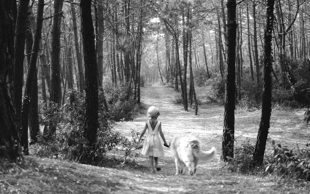 Photographe de l’enfant en mouvement